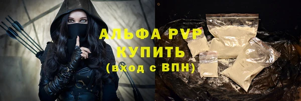 хмурый Аркадак