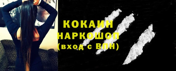 хмурый Аркадак