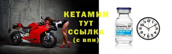 шишки Армянск