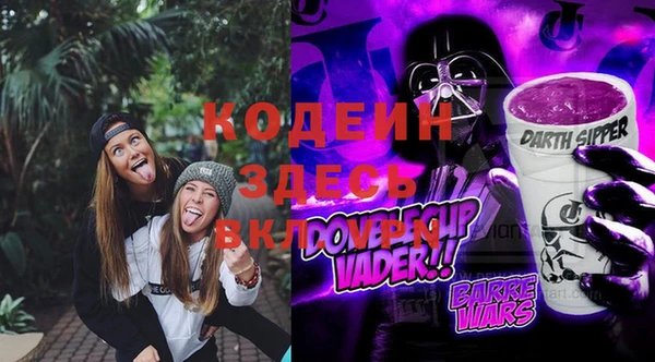 хмурый Аркадак