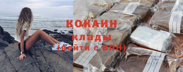 шишки Армянск