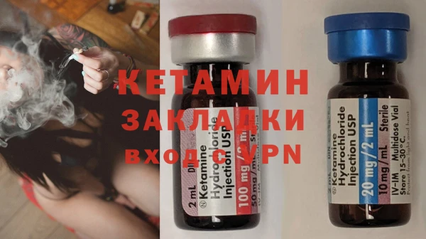 хмурый Аркадак
