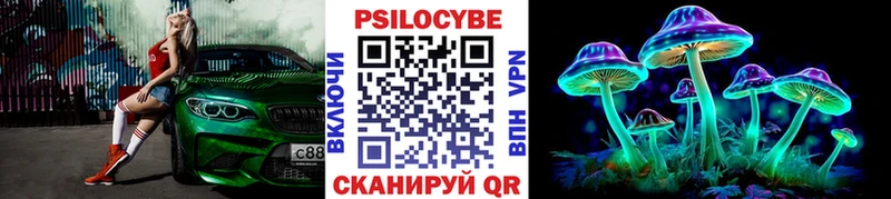 Галлюциногенные грибы GOLDEN TEACHER  купить наркотик  Славск 